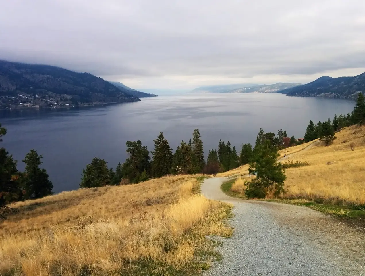 12 Best Coffee Shops in Kelowna You Need to Try!